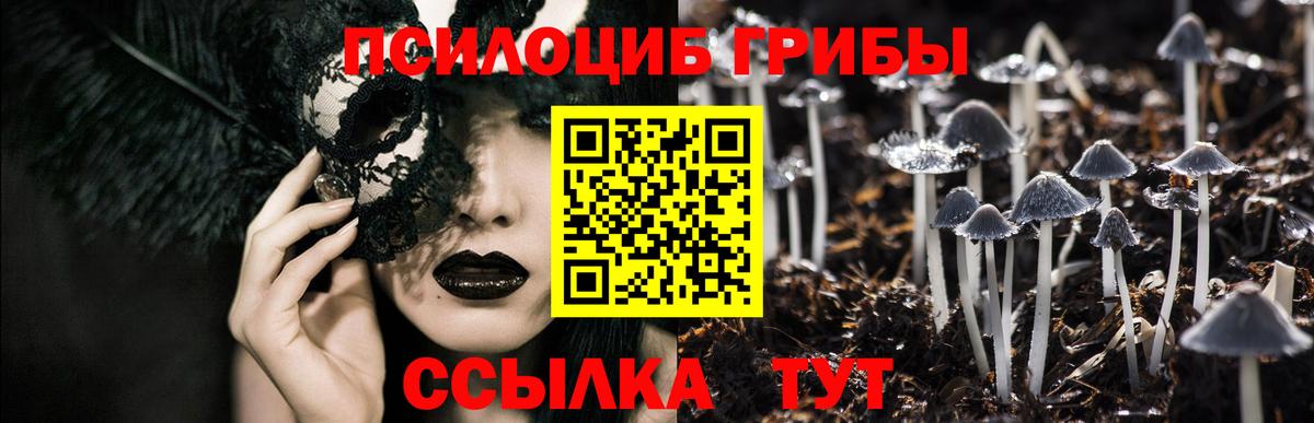 Галлюциногенные грибы GOLDEN TEACHER  Вход с VPN  Дальнегорск 