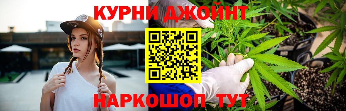 Марихуана сатива Дальнегорск